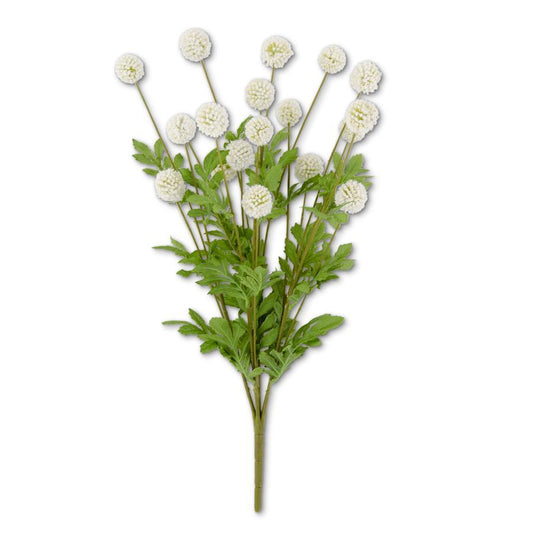 22" WHITE MINI ALLIUM