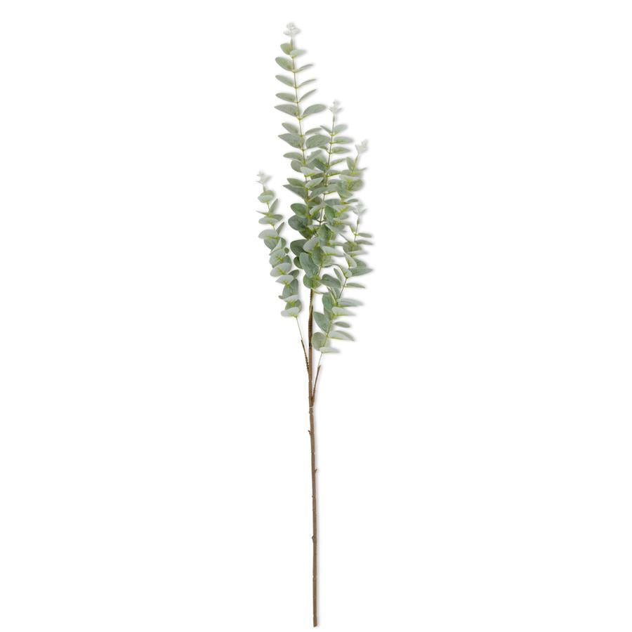 36” LG EUCALYPTUS BRANCH