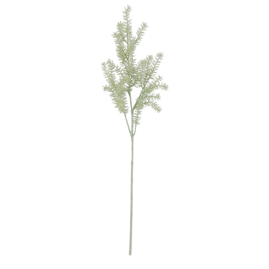 36” ASPARAGUS FERN