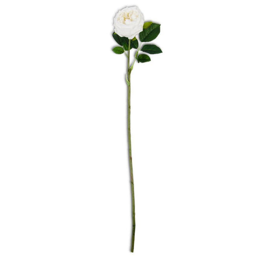 24” White Rose
