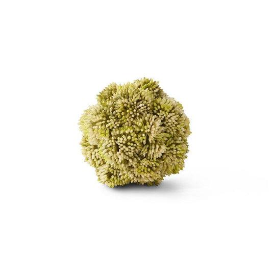 4” LG SEDUM ORB