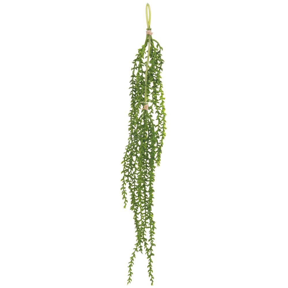 AMARANTHUS HANGING BUNDLE
