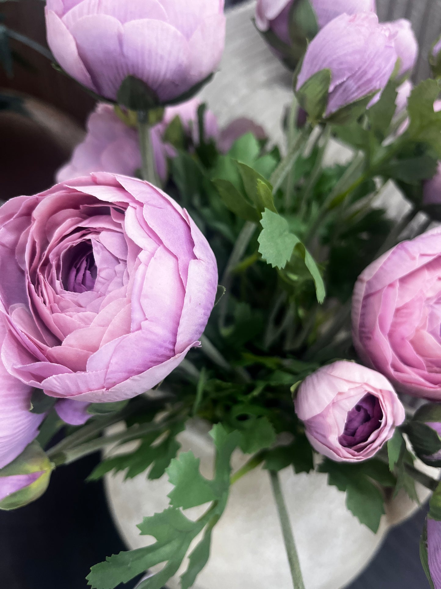 PURPLE RANUNCULUS
