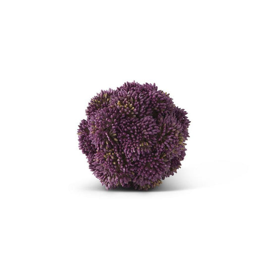 DRK PURPLE SEDUM ORB