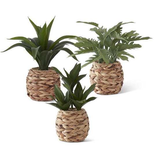 FOLIAGE WOVEN ROUND BASKET