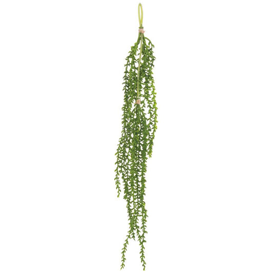 AMARANTHUS HANGING BUNDLE