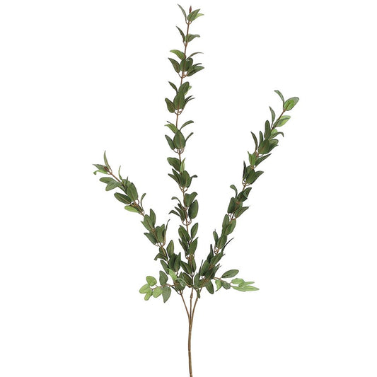 36" HUCKLEBERRY SPRAY