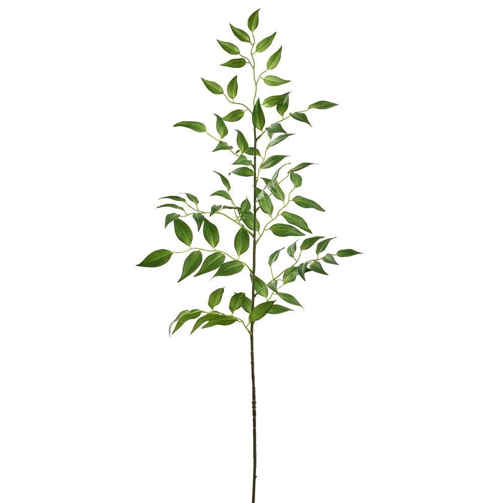 43' RUSCUS SPRAY