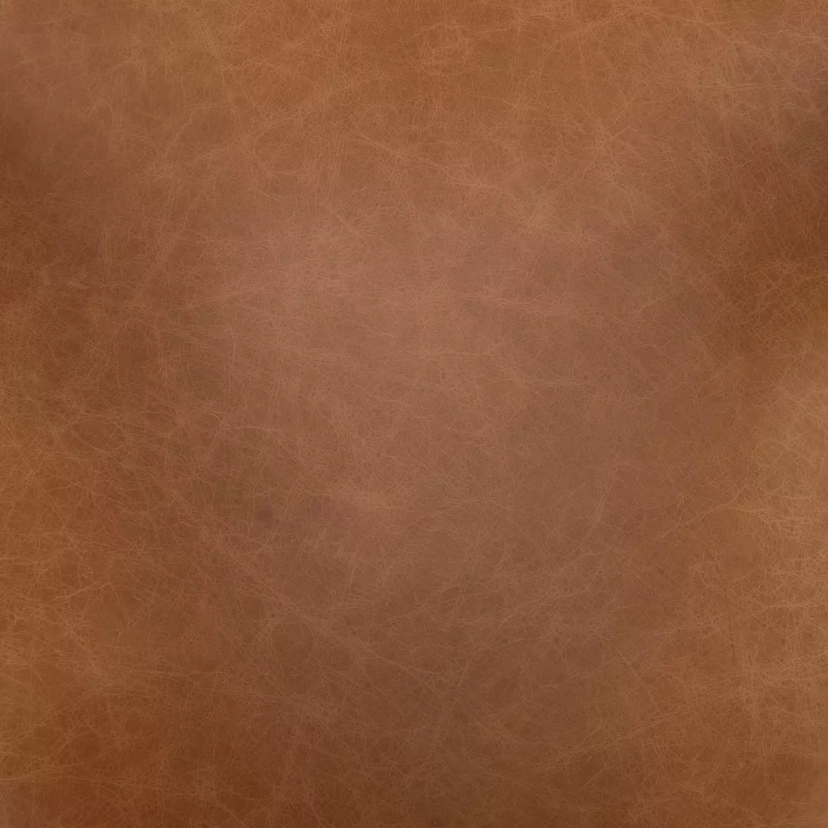 HAWKINS DINING CHAIR